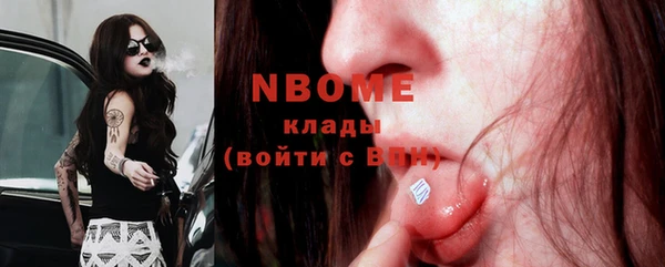 индика Армянск