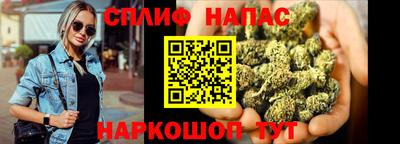 стаф Камышлов
