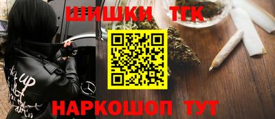 индика Кандалакша