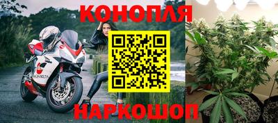 стаф Камышлов
