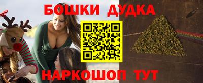 индика Кандалакша