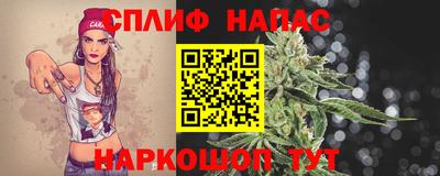 стаф Камышлов