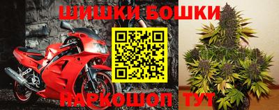 индика Кандалакша