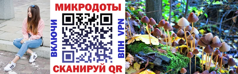 наркошоп  Коммунар  Галлюциногенные грибы Psilocybine cubensis 