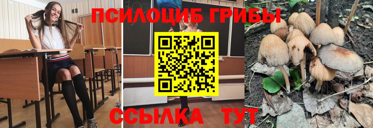 Галлюциногенные грибы мицелий Коммунар