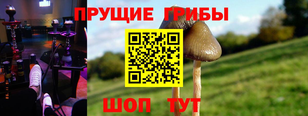 Коммунар  Псилоцибиновые грибы Cubensis  Вход с VPN  магазин    Галлюциногенные грибы GOLDEN TEACHER 